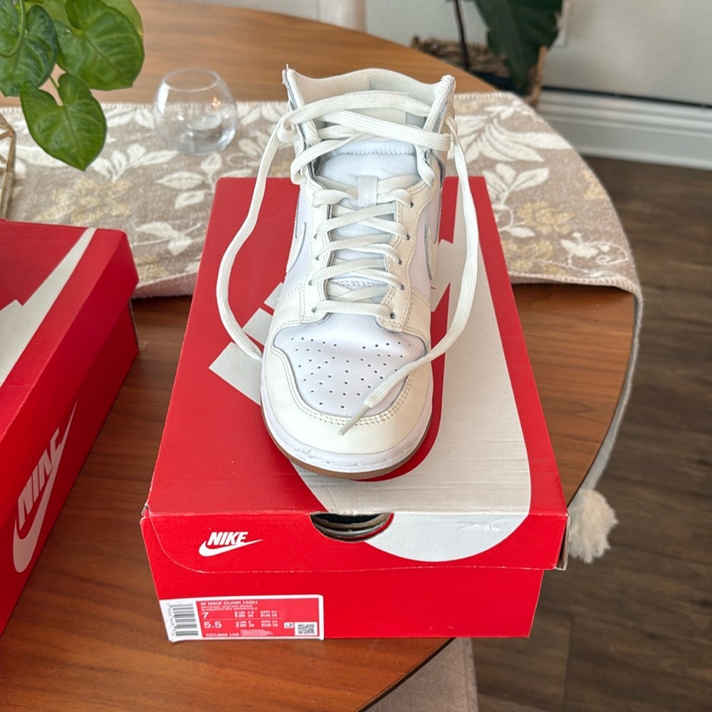 Nike Dunk High
